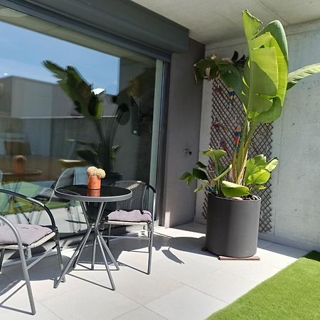 Casa Das Falcoeiras - Estudio Com Terraco Privado Aveiro Ngoại thất bức ảnh